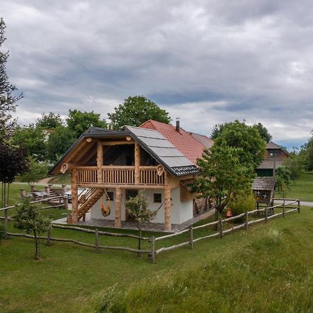 Holiday Home Virida, App Leopold III Ivancna Gorica Екстер'єр фото